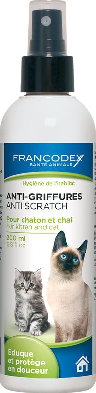 anti-griffures-chaton-chat.jpg